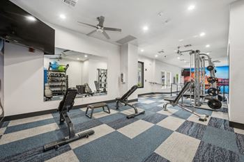 A gym with a variety of equipment including a treadmill, weights, and a bench press.